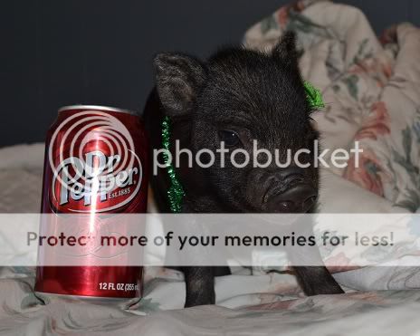 PJ.jpg