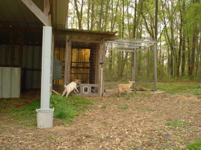 farm077.jpg