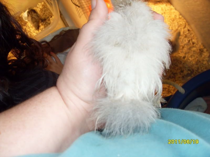 Picture268.jpg