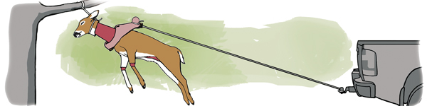 skin_deer_ban.jpg