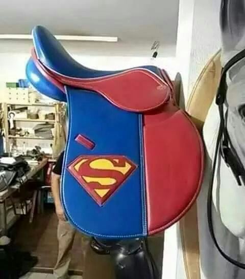 d5a7ee34efa2bd46c4e4c037f3360526--superman-tack-box.jpg