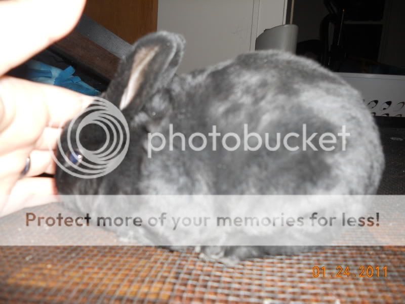 DSCN0094.jpg