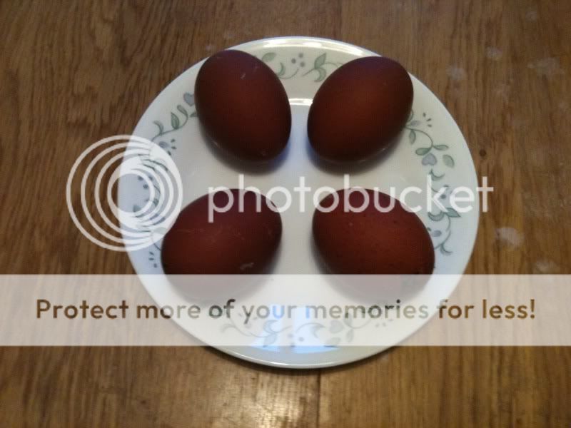 BCEggs.jpg