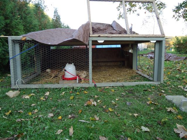 200x200px-ZC-a47761aa_22834_myhoophouse.jpeg