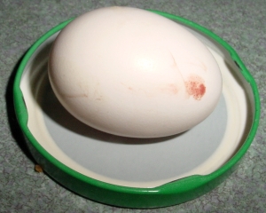 silkieegg.jpg