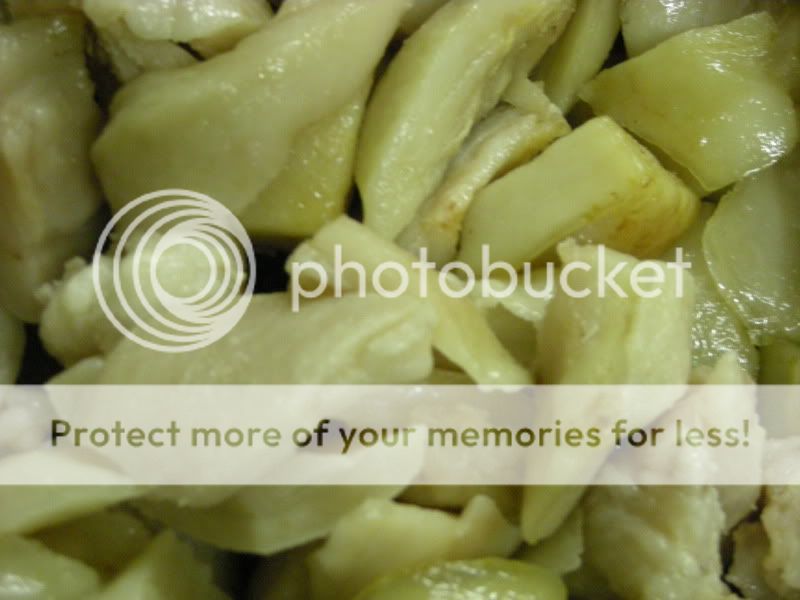 DSCN4607.jpg