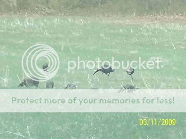 100_0730.jpg