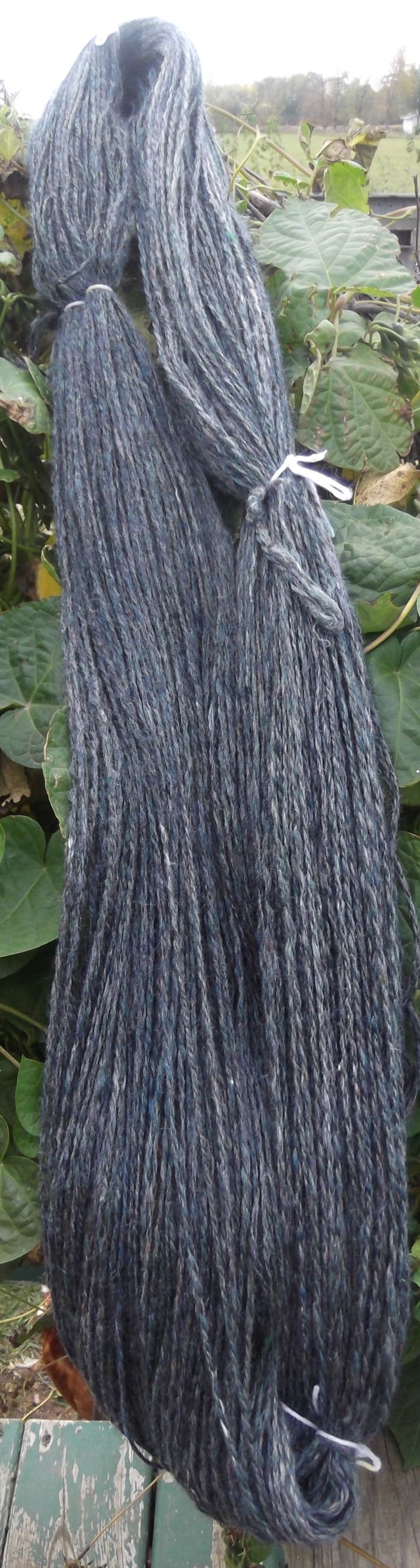 oct2011merinotencild.jpg
