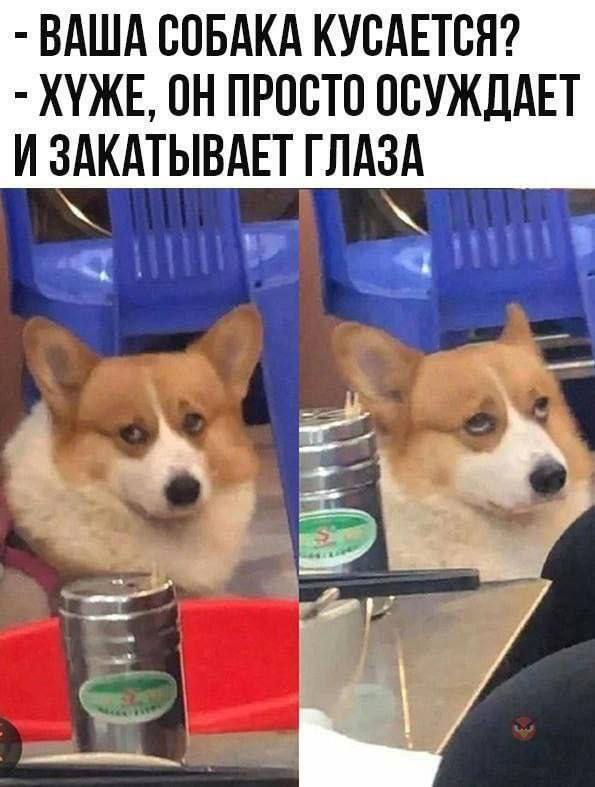 2uduv3vr.jpg