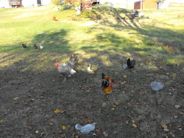 2008_1105TheGang0157.jpg