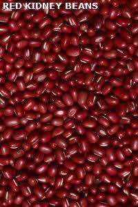 redkidney-200.jpg