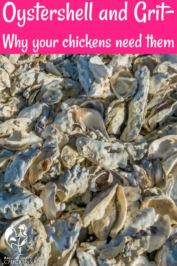 350xNxoystershell-01.jpg.pagespeed.ic.XMcjfsWYKZ.jpg