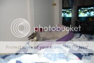 20110316_26.jpg