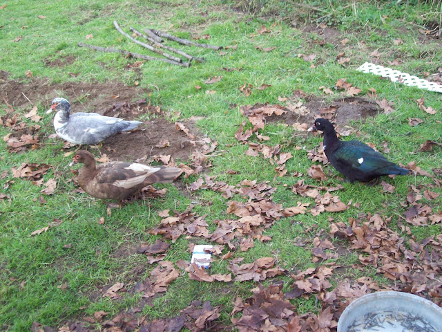100_0769.JPG