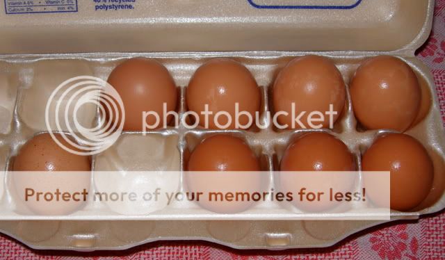 EggCarton.jpg