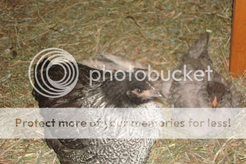 DSC01112.jpg