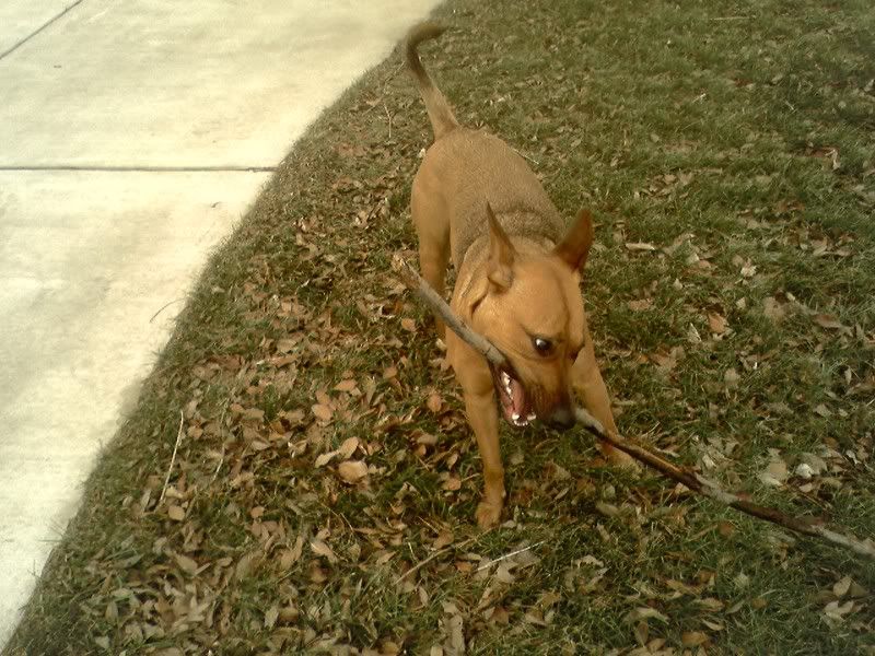 010808_1247.jpg