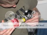 IMG_1459.jpg