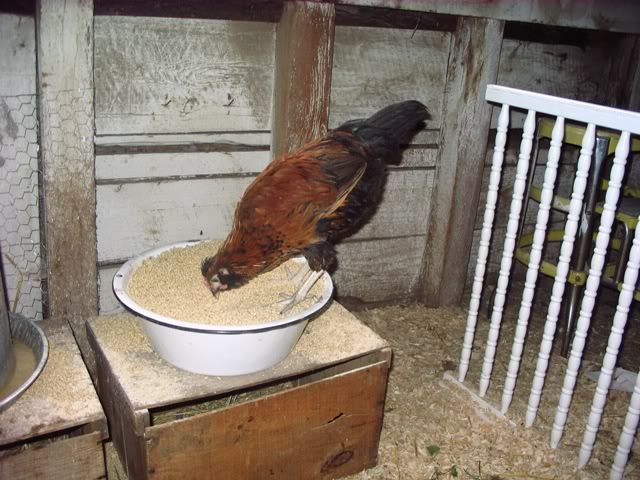 gilliganeatsgoodsideview.jpg
