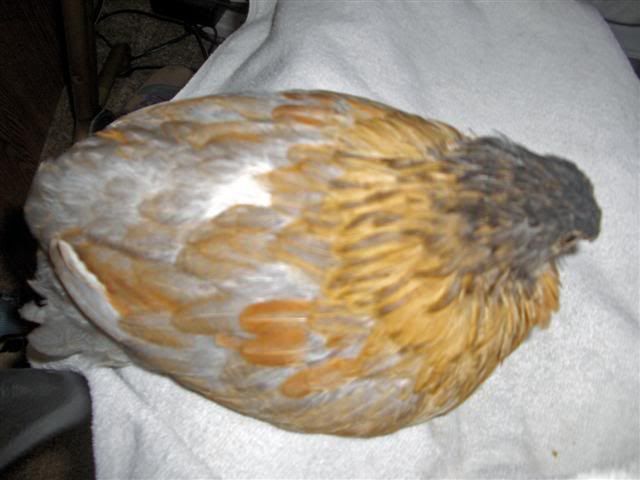 HPIM2828_editedSmall.jpg