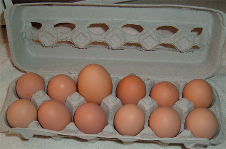 DoubleYolker1a.jpg