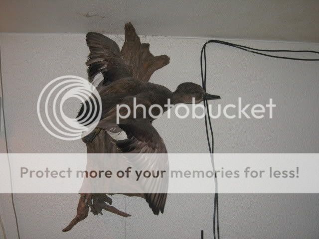 IMG_6023.jpg
