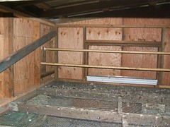 2581838783_3ff6e0c162_m.jpg