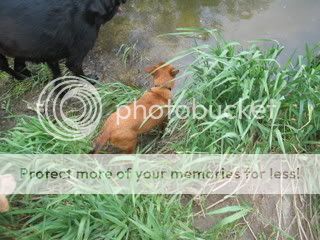 IMG_0588.jpg
