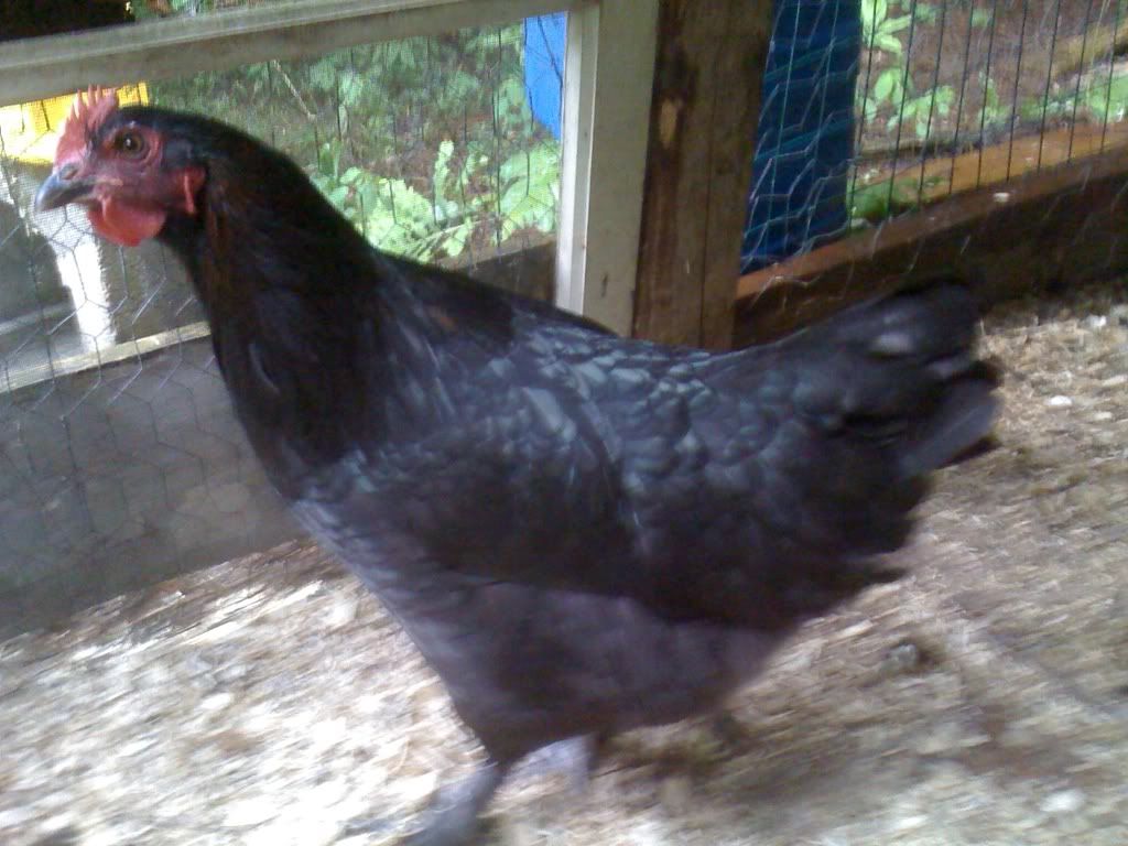 7f755f90.jpg