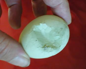 firstegg1.jpg