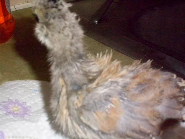 100_0724.jpg
