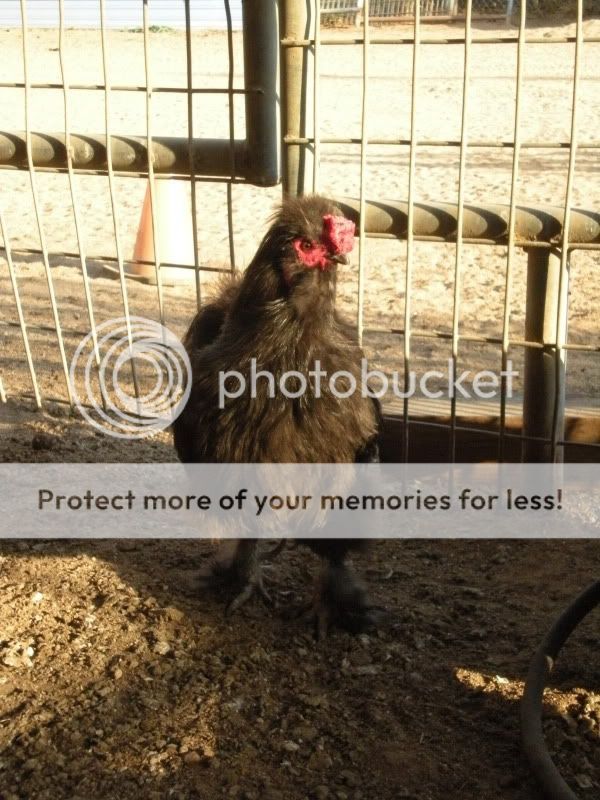 july302010084.jpg