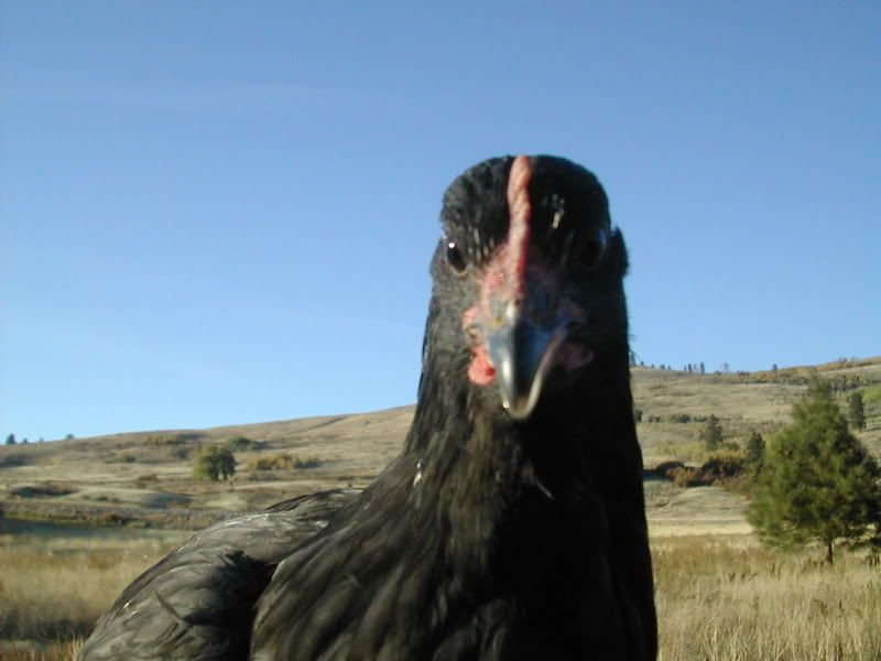 DSCN2880.jpg
