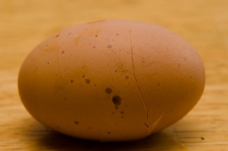 0806eggshell002.jpg