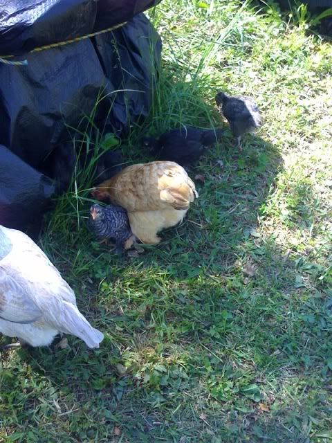 photo-156.jpg