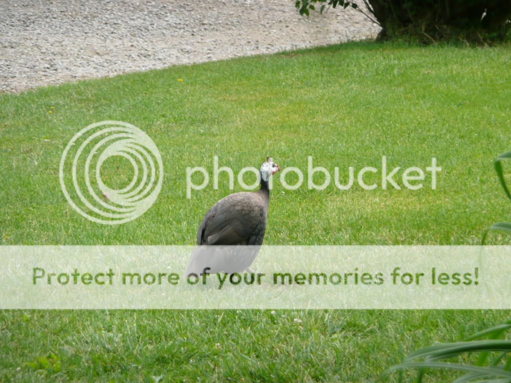 Picture001.jpg