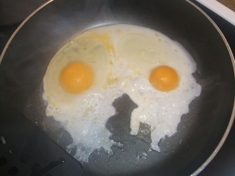 2008_0214eggs0014.jpg