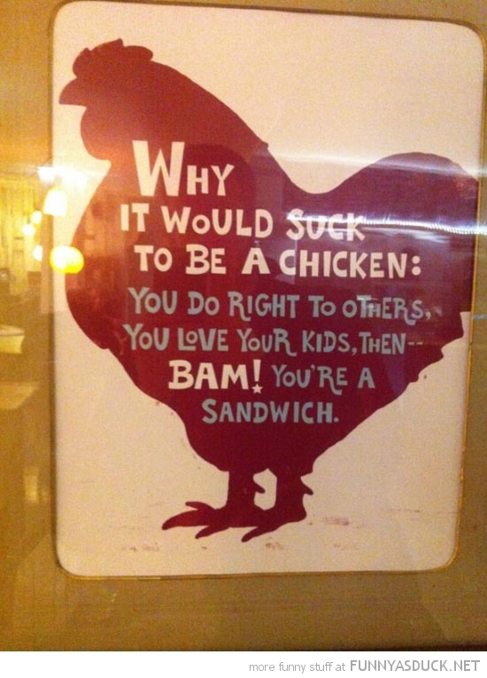 funny-suck-to-be-chicken-sign-sandwich-pics.jpg