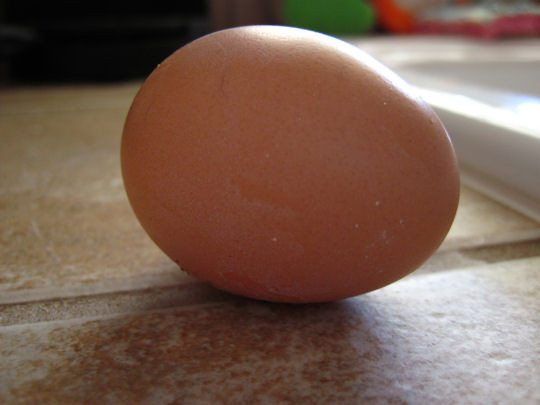 firstegg.jpg