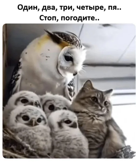 te5bde33.jpg