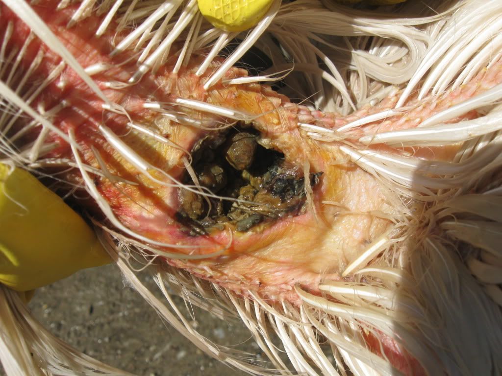 Picture274.jpg