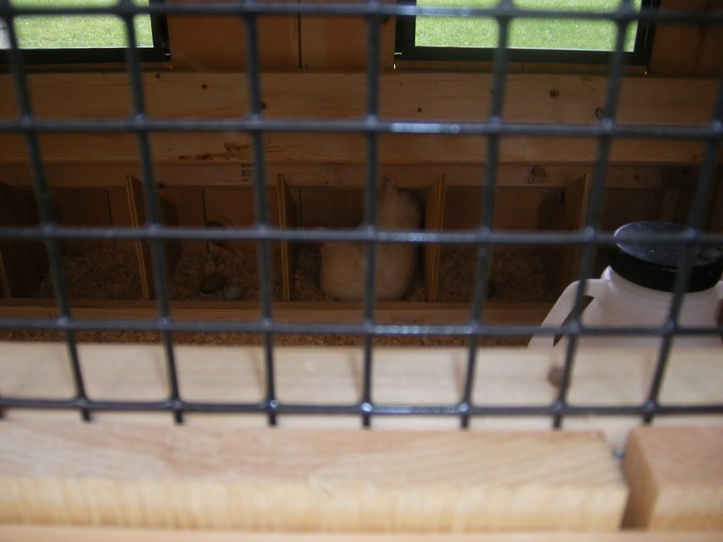 DSCF1575.jpg