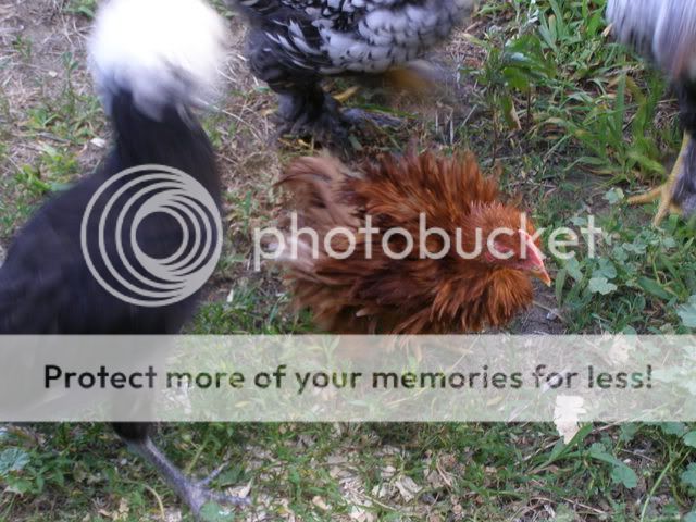 20080713_66.jpg