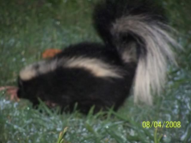 100_1416.jpg