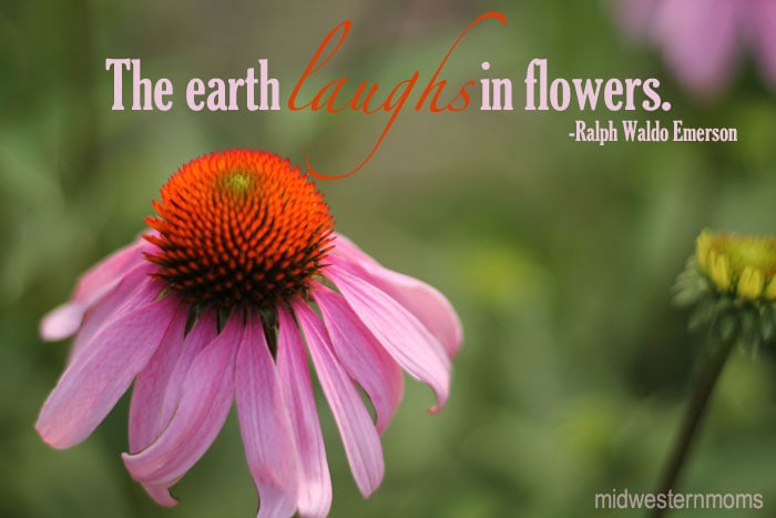 FlowerQuote.jpg