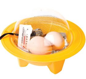 Chick+Bator.jpg