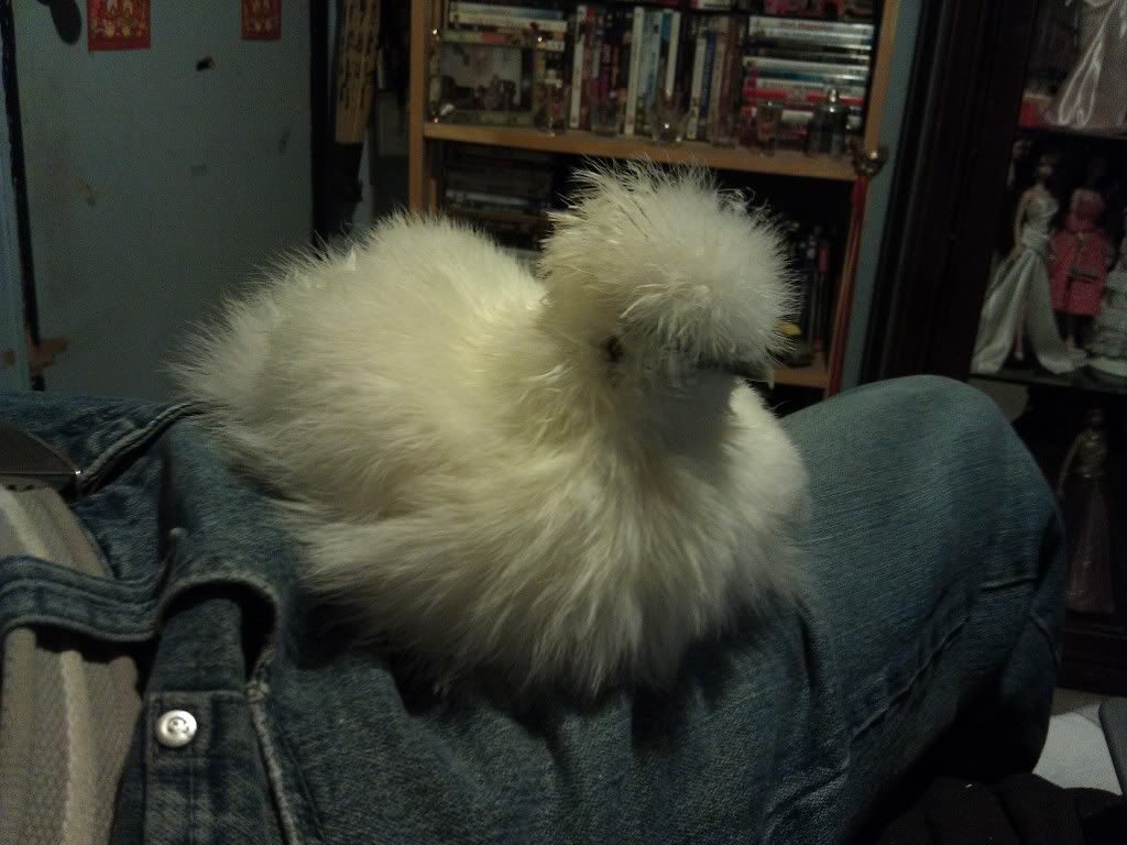 IMAG0564.jpg