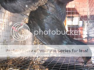 11-1-07024.jpg