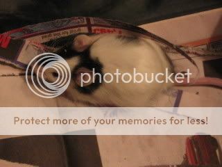 Amberspictures542-2.jpg