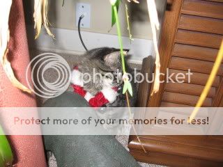 IMG_0926.jpg